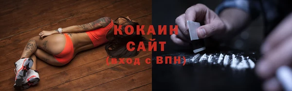 трава Абаза